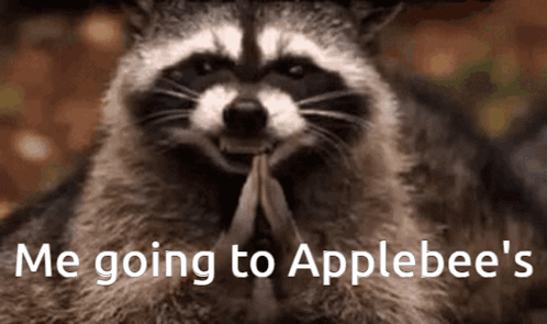 A Raccoon With The Words " Me Going To Applebee 'S " On It GIF