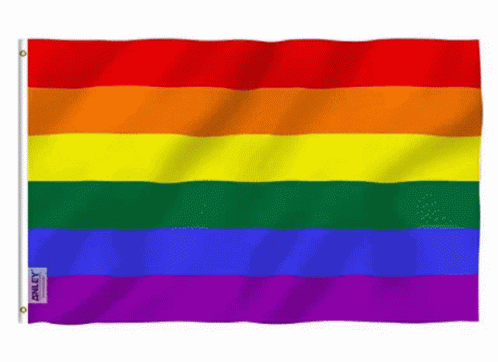 A Rainbow Flag With A Label That Says Ally On It GIF