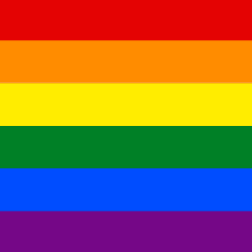 A Rainbow Flag With A Shadow Of A Person In The Background . GIF