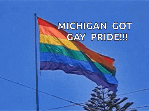 a rainbow flag with the words michigan got gay pride below it