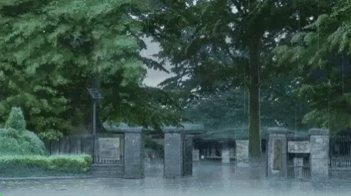 A Rainy Day In A Park With A Sign That Says ' A ' On It GIF