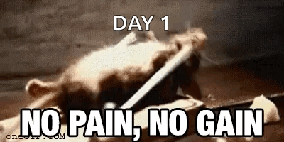 A Rat Is Laying On A Table With The Words `` No Pain , No Gain '' Written On It . GIF