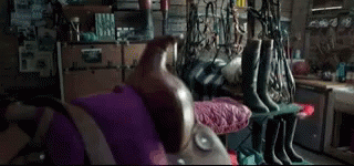 A Rat Is Sitting On A Purple Pillow In A Room With A Lot Of Objects . GIF