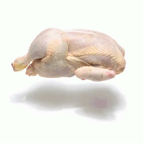 A Raw Chicken Is Floating In The Air Against A White Background GIF