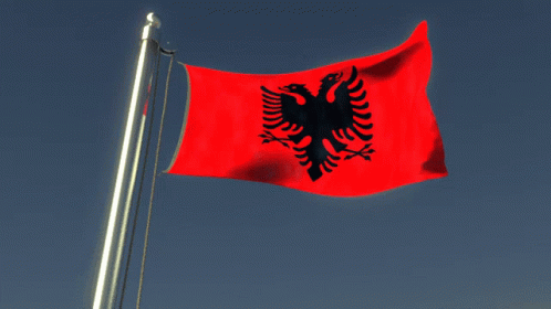 a red and black flag with an eagle on it