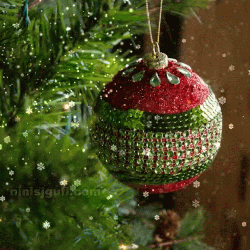 A Red And Green Christmas Ball Is Hanging From A Christmas Tree GIF