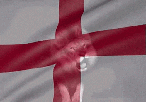 A Red And White Cross With A Lion 'S Head On It GIF