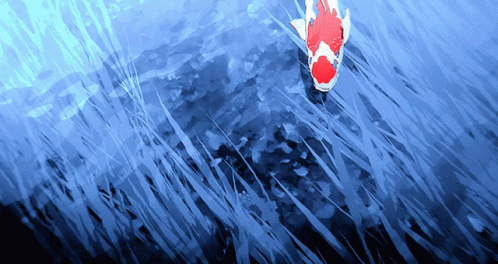 A Red And White Fish Is Swimming In A Dark Blue Water GIF