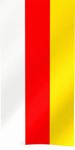 A Red And Yellow Flag With A White Stripe On The Bottom GIF