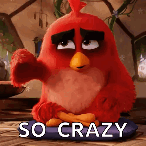 Red Angry Bird Sitting On Pillow Saying So Crazy GIF