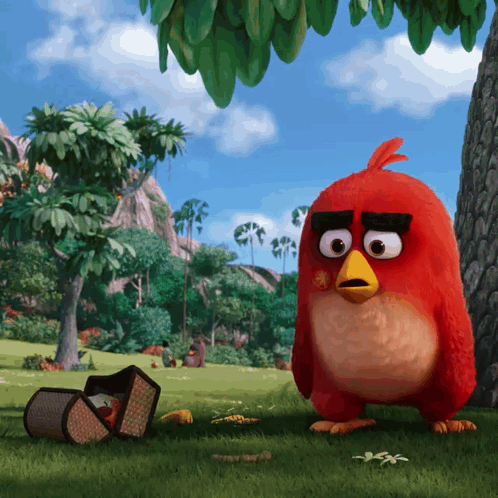 A Red Angry Bird Is Standing In The Grass GIF