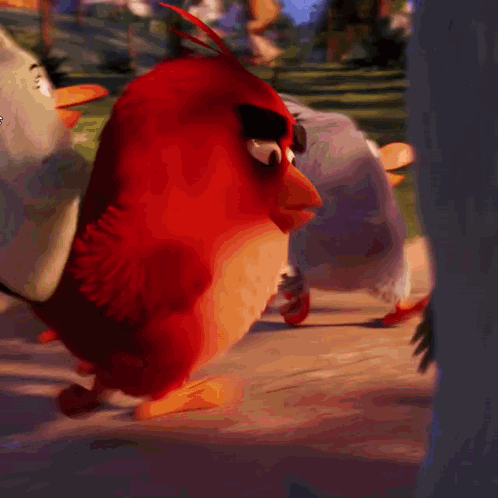 Red Angry Bird Standing Next To Gray Bird GIF