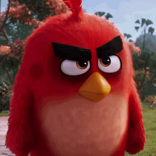 Red Angry Bird Looking At Camera GIF