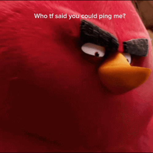 A Red Angry Bird With The Words Who Tf Said You Could Ping Me Below It GIF