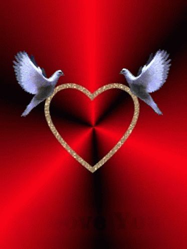 A Red Background With A Heart And Two Birds And The Words I Love You GIF