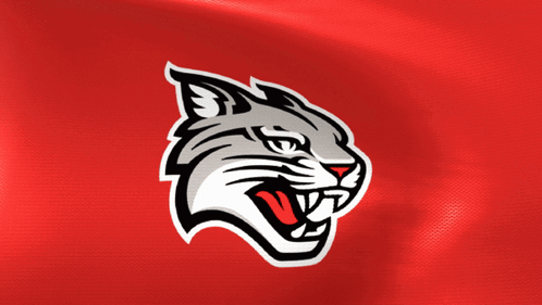 a red background with a logo of a cat