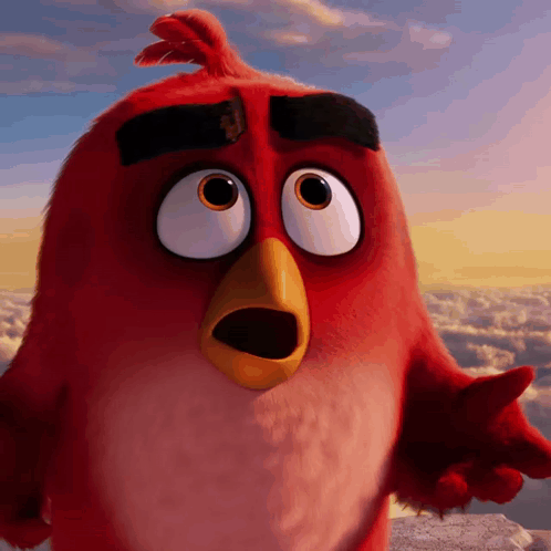 Red Bird With Surprised Expression GIF
