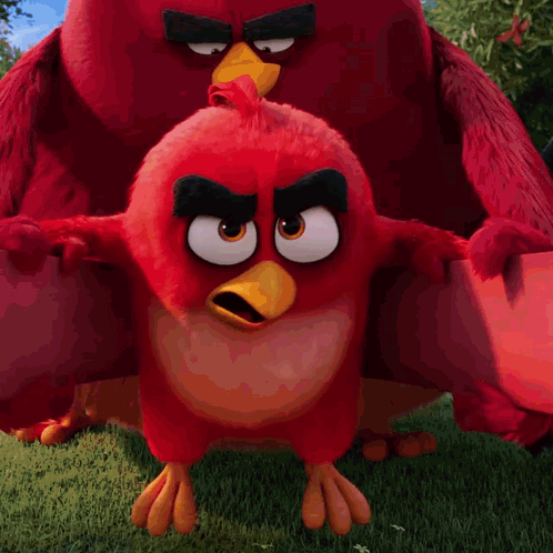 Red Bird With Yellow Beak Flying Over Field GIF