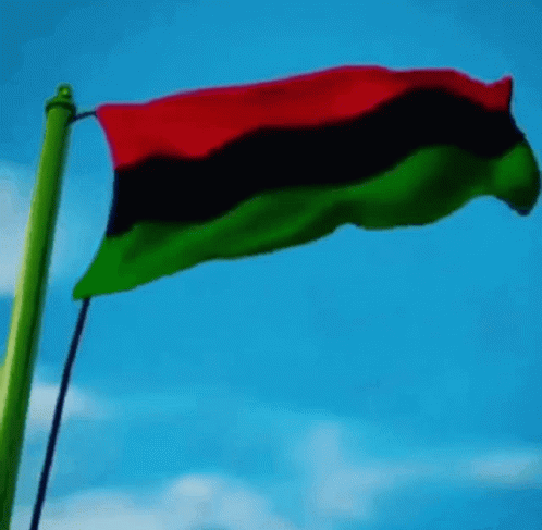 A Red Black And Green Flag Is Flying In The Wind Against A Blue Sky GIF