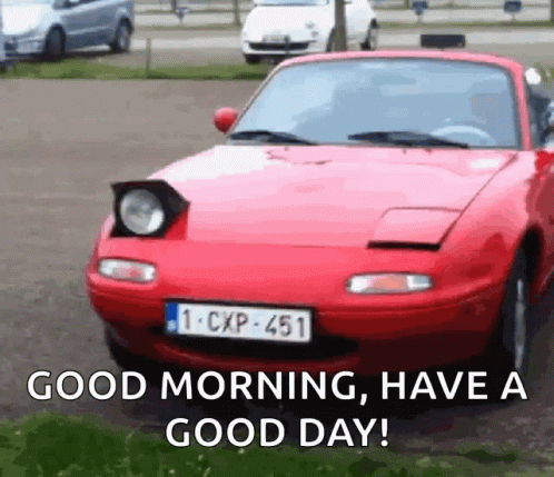 A Red Car With A License Plate That Says 1-Cxp-451 GIF