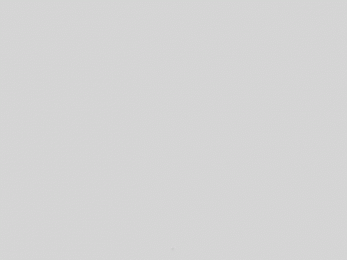 A Red Circle On A White Background With A Black Dot In The Middle GIF