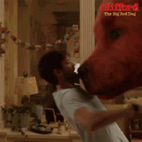 A Red Dog Is Standing In A Living Room With A Girl Standing Next To It . GIF