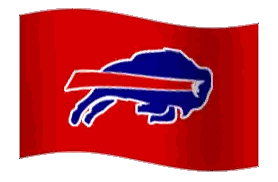 a red flag with a blue and white buffalo logo on it