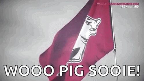 A Red Flag With A White Face On It Is Flying In The Wind . GIF