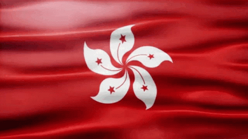 A Red Flag With A White Flower And Stars GIF