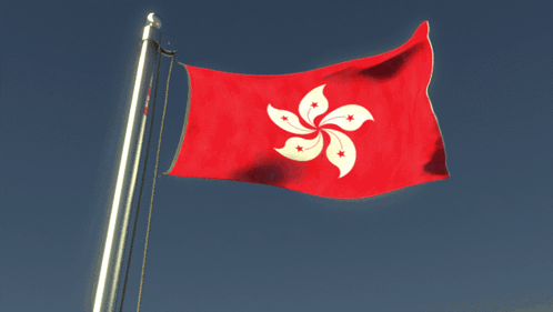 A Red Flag With A White Flower On It Is Flying In The Wind GIF