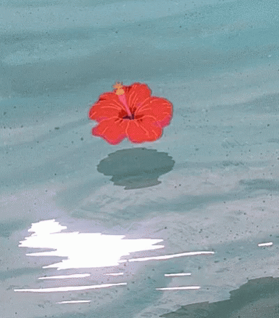 A Red Flower Is Floating On Top Of A Body Of Water GIF