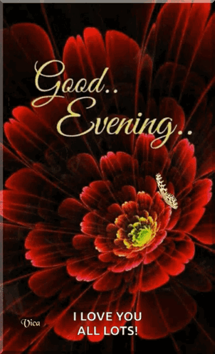 A Red Flower With A Butterfly On It Says Good Evening GIF