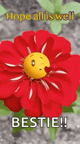 A Red Flower With A Smiley Face In It And The Words Hope All Is Well Bestie ! GIF