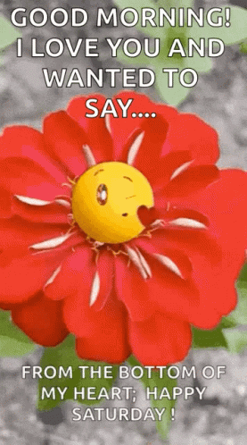 A Red Flower With A Smiley Face On It And The Words `` Good Morning ! I Love You And Wanted To Say ... '' GIF
