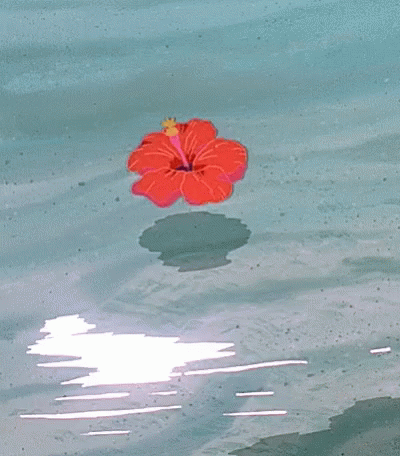 A Red Flower With A Yellow Center Is Floating In The Water GIF