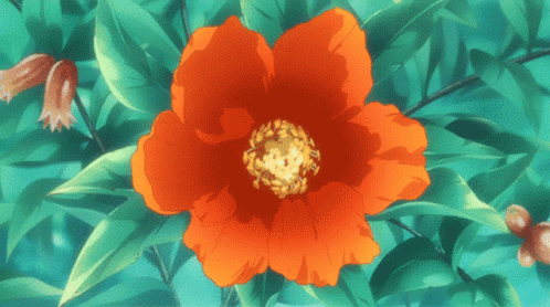 A Red Flower With A Yellow Center Is Surrounded By Greenery GIF