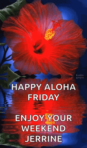 A Red Flower With The Words Happy Aloha Friday Enjoy Your Weekend Jerrine Written On It GIF