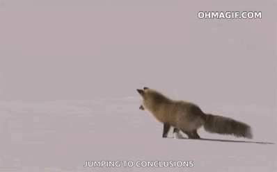A Red Fox Is Jumping In The Air In The Snow . GIF