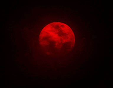 A Red Full Moon In A Black Sky GIF