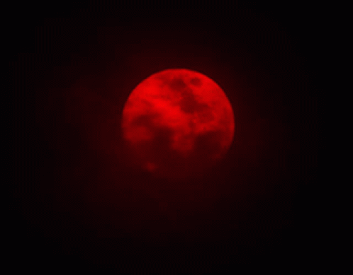 a red full moon in a dark night sky