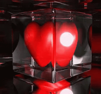 A Red Heart Is In A Clear Cube GIF