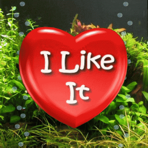 A Red Heart That Says I Like It In White Letters GIF
