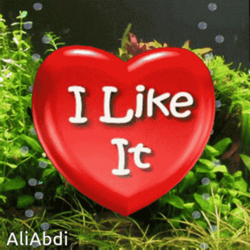 A Red Heart That Says I Like It In White Letters GIF
