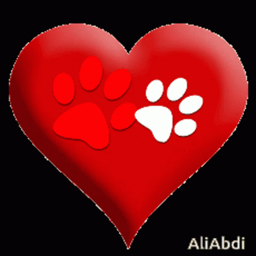 A Red Heart With A White Paw Print On It And The Name Aliabdi On The Bottom GIF