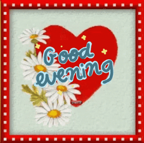 A Red Heart With Daisies And The Words Good Evening On It GIF