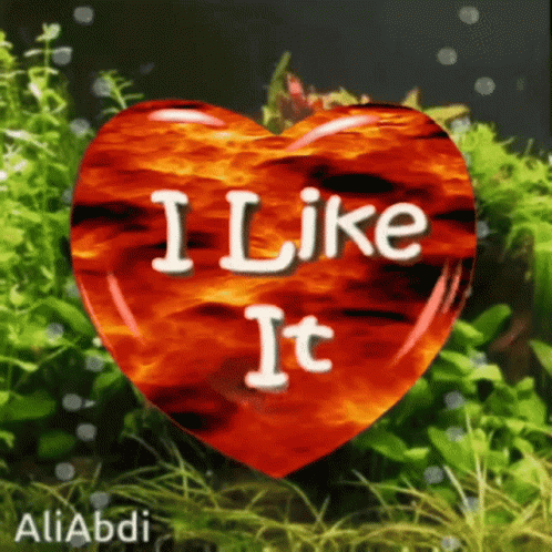 A Red Heart With The Words " I Like It " Written On It GIF