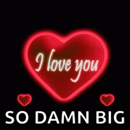 A Red Heart With The Words `` I Love You So Damn Big '' Written Inside Of It GIF