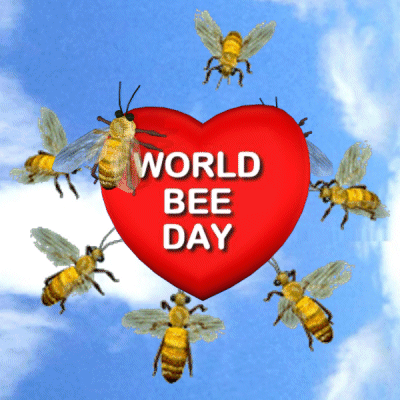 A Red Heart With The Words World Bee Day Written On It GIF