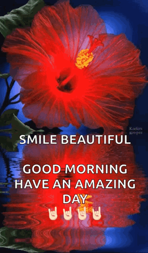 A Red Hibiscus Flower With The Words Smile Beautiful Good Morning Have An Amazing Day GIF