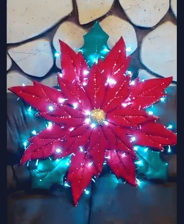 A Red Poinsettia With Christmas Lights Around It Is On A Couch . GIF